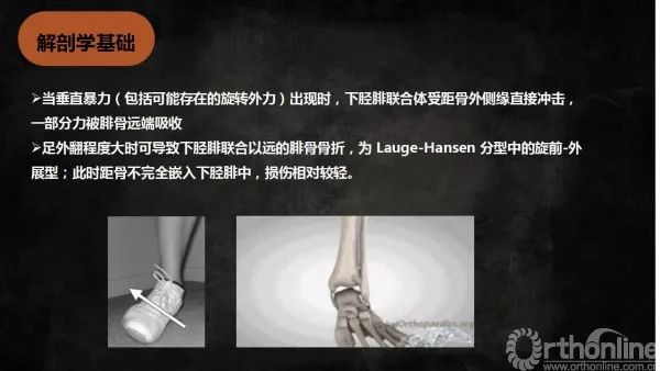 微信圖片_20180207142618.jpg