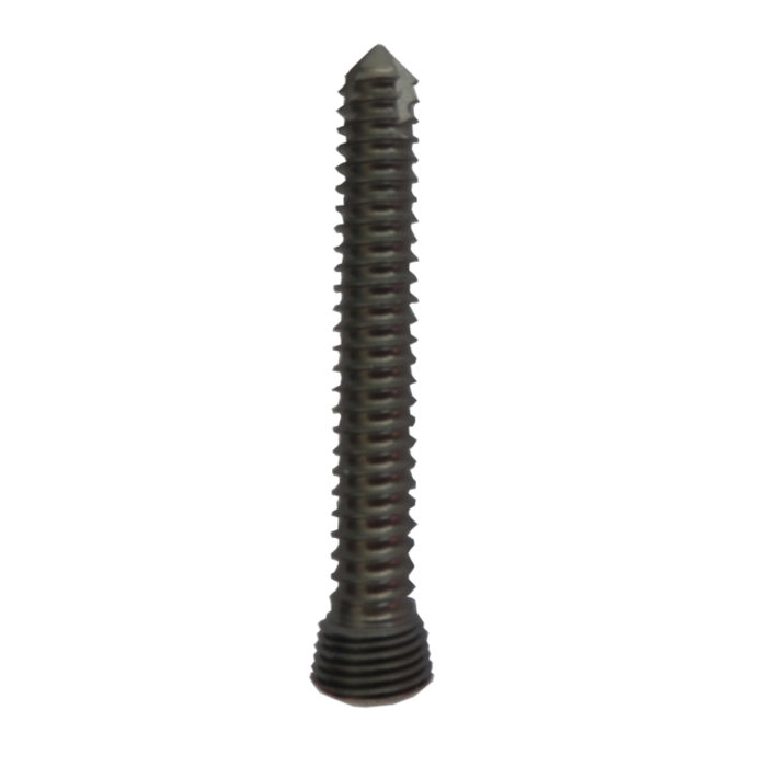自攻鎖定螺釘Self-taping Locking Screw -1.png