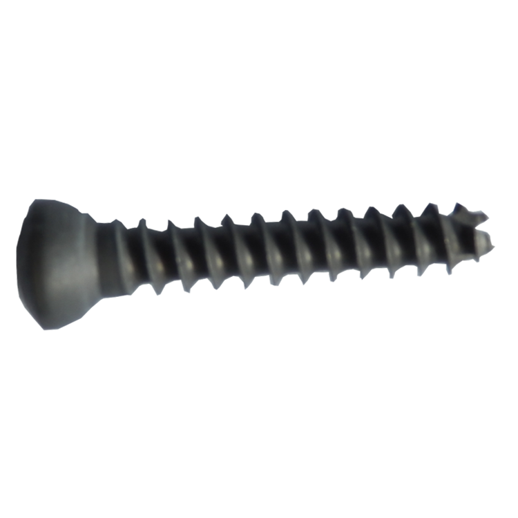 Cannulated Screw -3.png