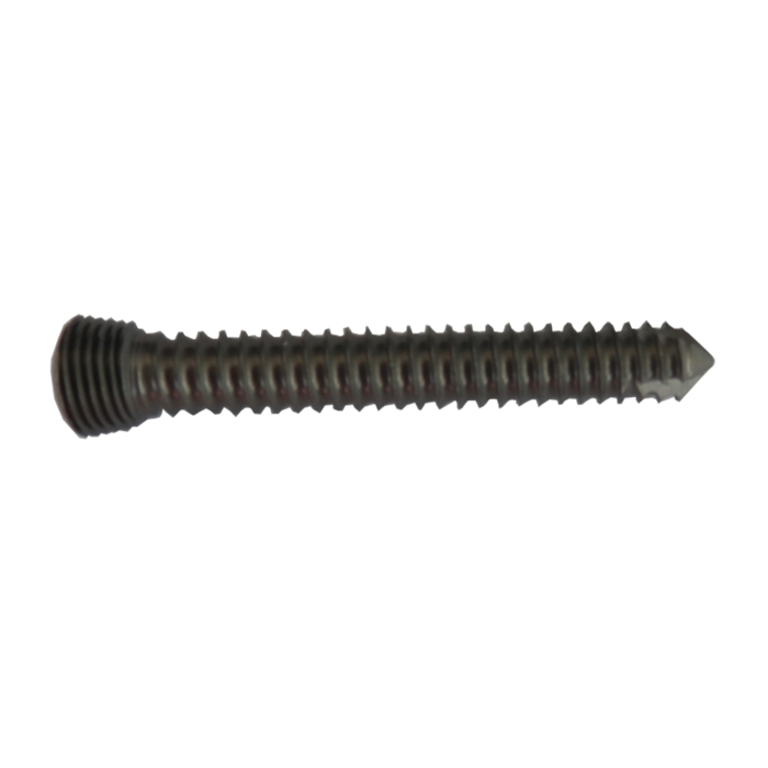 2.7 鎖定螺釘Self-taping Locking Screw，with Stardriver T8  .png