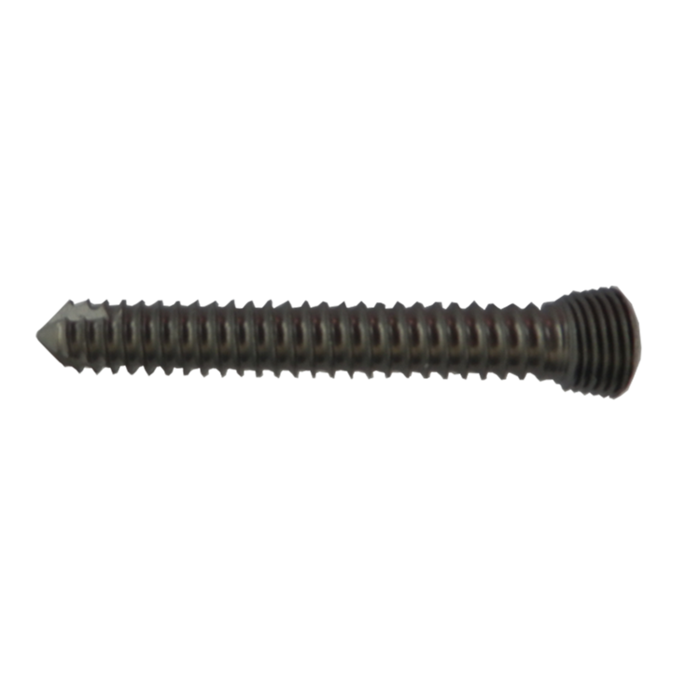 2.7 鎖定螺釘Self-taping Locking Screw，with Stardriver T8  1.png
