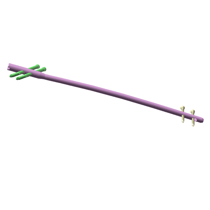 Femoral Interlocking Nails-4.png