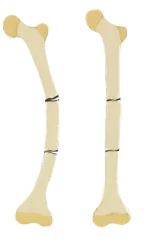 文章附圖