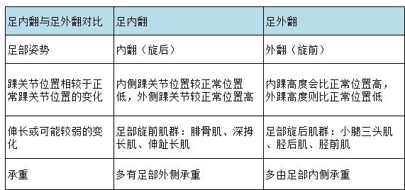 足内翻,足外翻的区别及治疗方法 - 上海开为医药科技有限公司--创伤