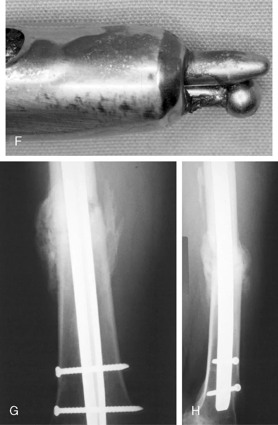 004,图片来源：Russell et al. (2002), Figure 4.