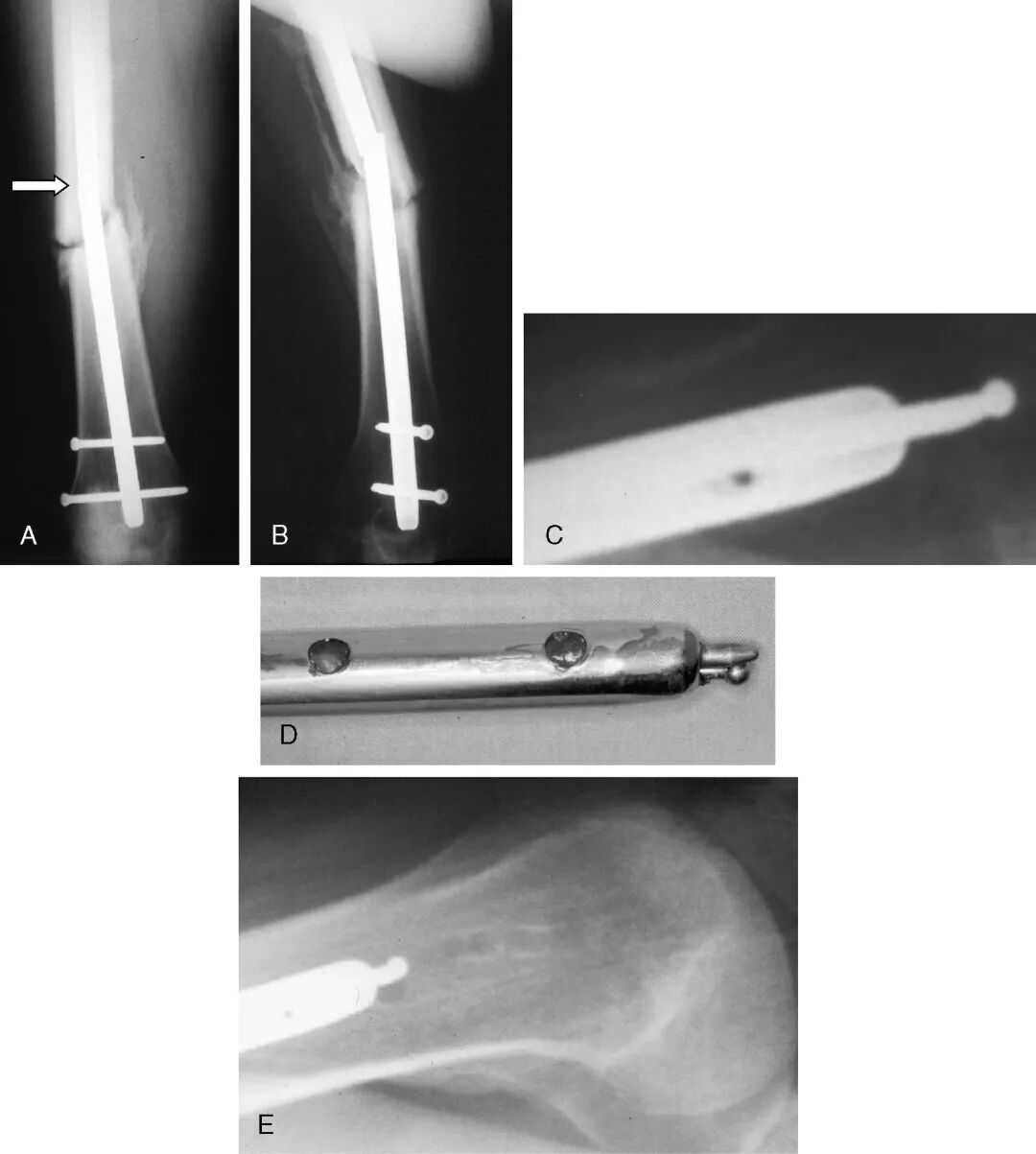004,图片来源：Russell et al. (2002), Figure 4.