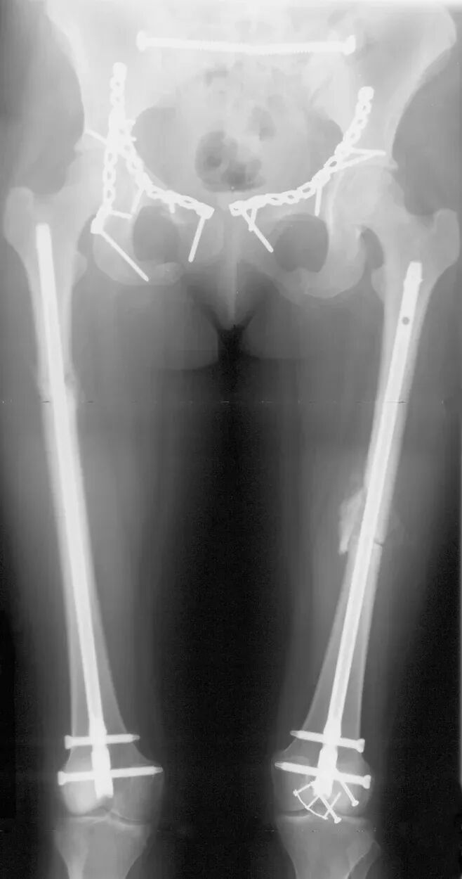 001,图片来源：Russell et al. (2002), Figure 1.