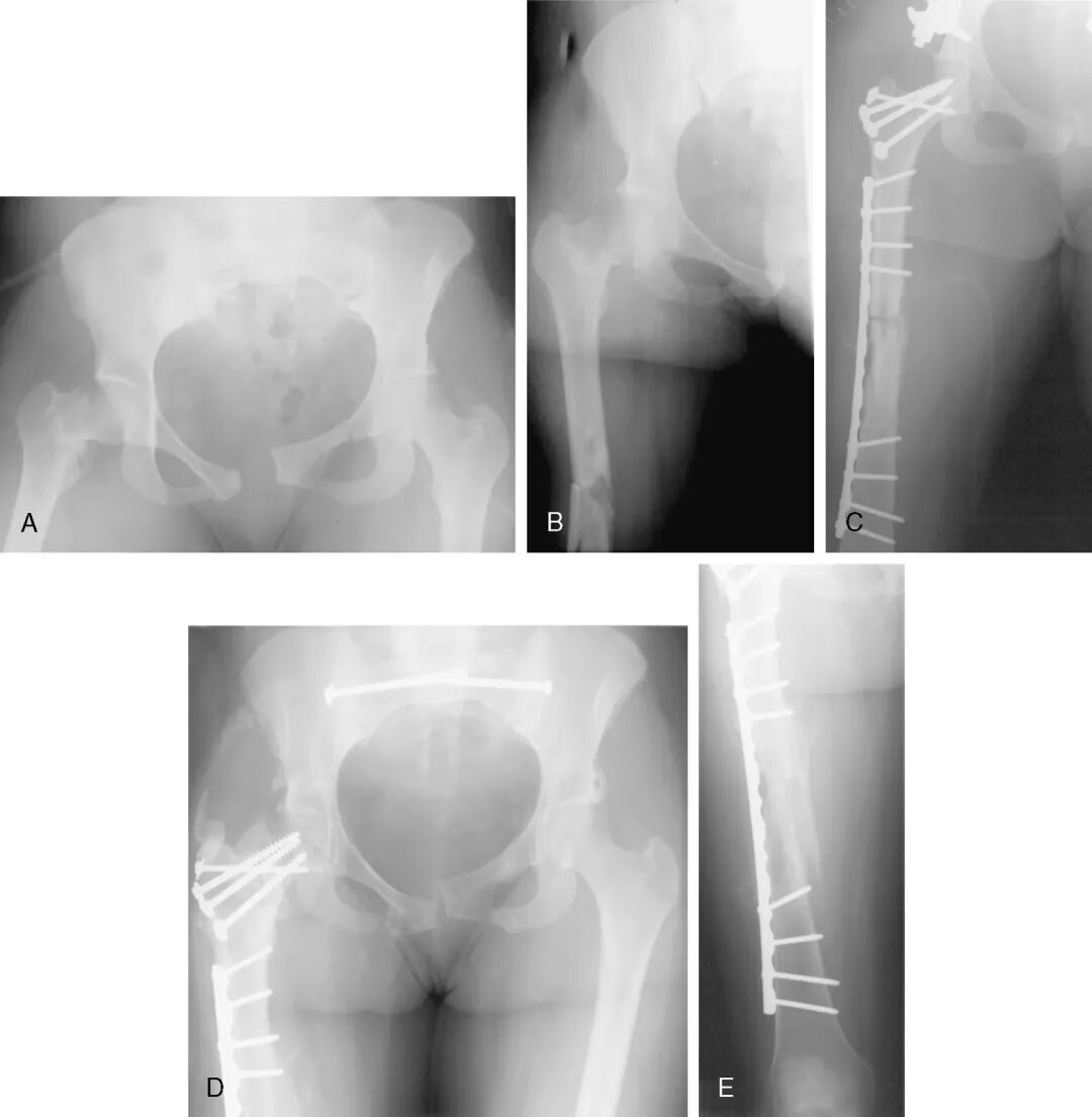 002,图片来源：Russell et al. (2002), Figure 2.