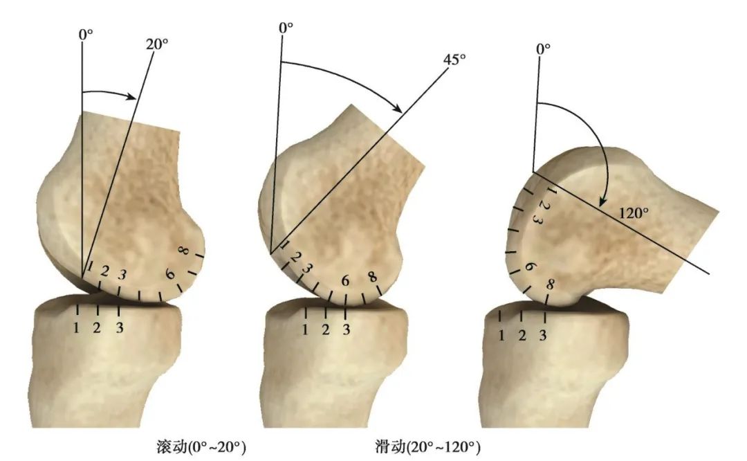 外固定器有哪些实用干货 ｜ 膝关节外固定器使用技巧_https://www.jmylbn.com_新闻资讯_第5张