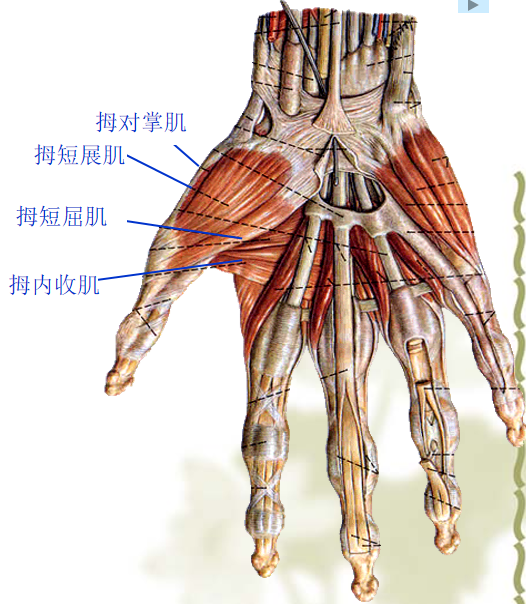 高清图谱